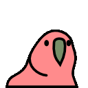 60fps parrot